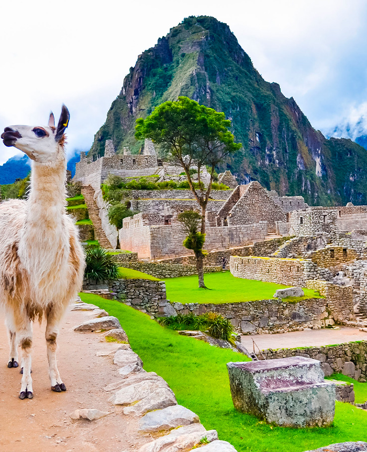 EL IMPERIO DE PERU 879